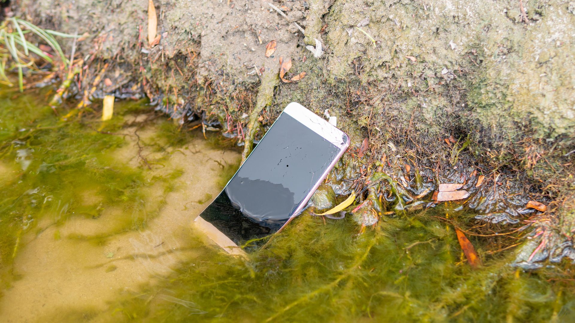 Téléphone tombé dans l'eau : Les gestes qui sauvent